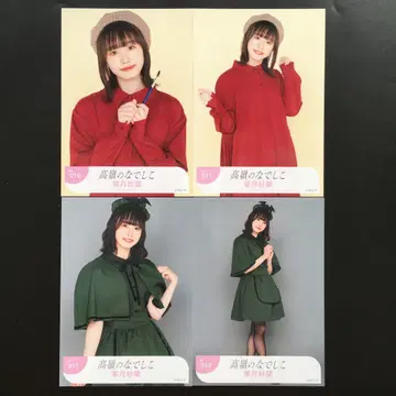 6031 타카네노 나데시코 하즈키 사라 브로마이드 4장 세트