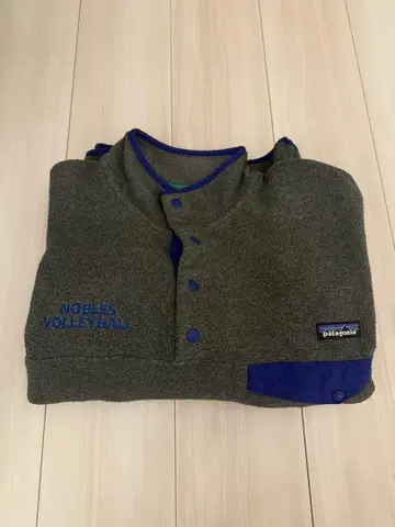 Patagonia Synchilla 플리스 자켓