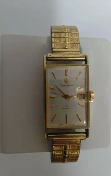 [정크제품] Citizen Date Star DTRG51402-S