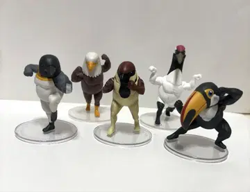 근육질 새