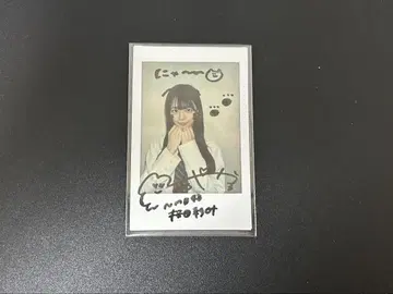 사쿠라다 아야하 친필 폴라로이드