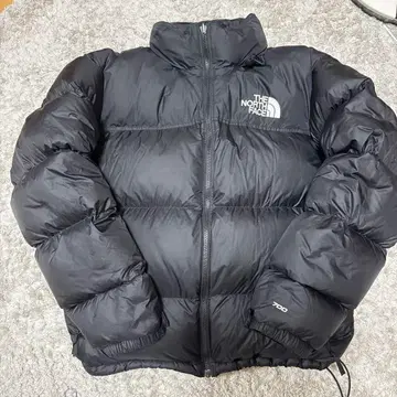 THE NORTH FACE 블랙 1996 레트로 눕시 다운 700