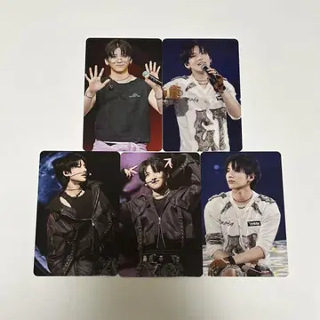 &TEAM 월랑 아지츠 트레카 YUMA 컴프