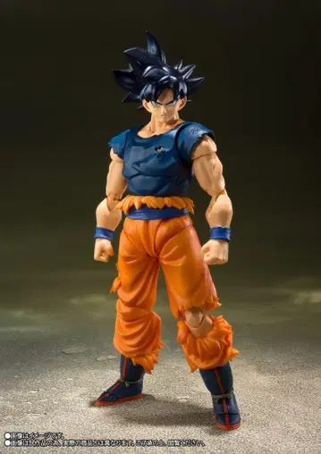 미개봉 S.H.Figuarts 손오공 극한의 극의 조