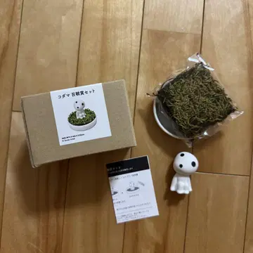 모노노케 히메 코다마 이끼 감상