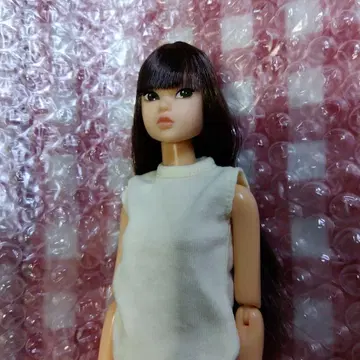 Today's momoko 인형 본체