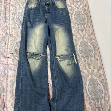 배기 데미지 진 스토리