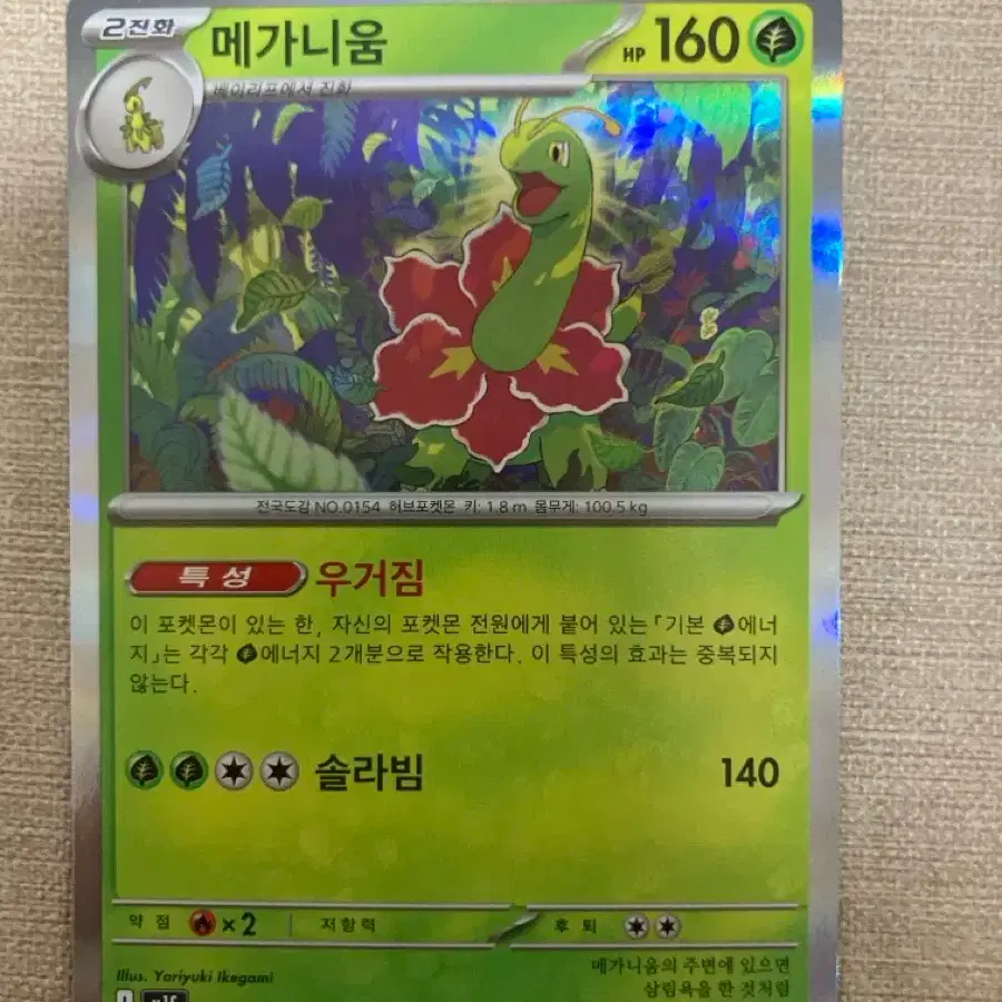 Pokemon Card Meganium | Bunjang Global