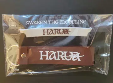 HARUA 응원봉 데코 &TEAM AWAKEN THE BLOODLINE