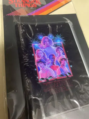 스트레인저 씽스 여권 케이스