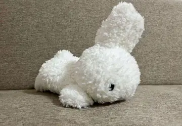 대특가 미피 봉제 인형