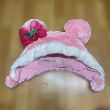 디즈니 리조트 미니 팬캡