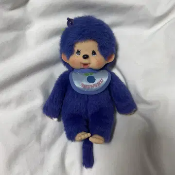몬치치 신슈 한정판 파랑