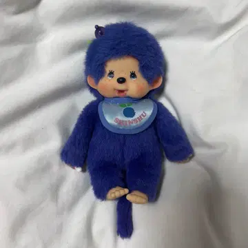 몬치치 신슈 한정판 파랑