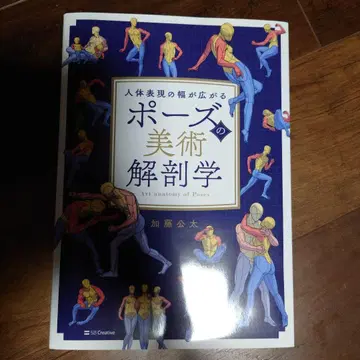 포즈의 미술 해부학