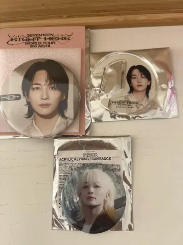 SEVENTEEN 거울 캔뱃지 키링 3종 세트 정한
