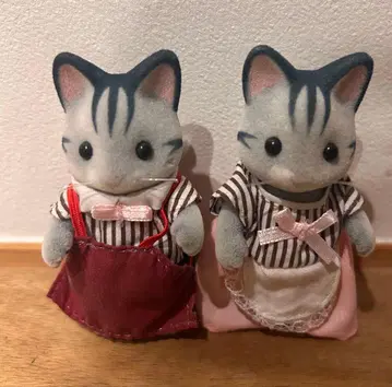 그레이쉬 고양이 아빠 엄마 해외