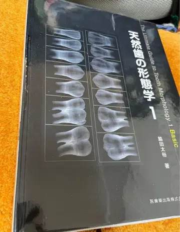 천연 치아의 형태학 1 [재단 완료]