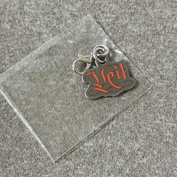 태민 Veil 회장 한정판 가챠 액세서리 참