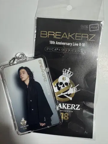 BREAKERZ R-18 피카 AKIHIDE