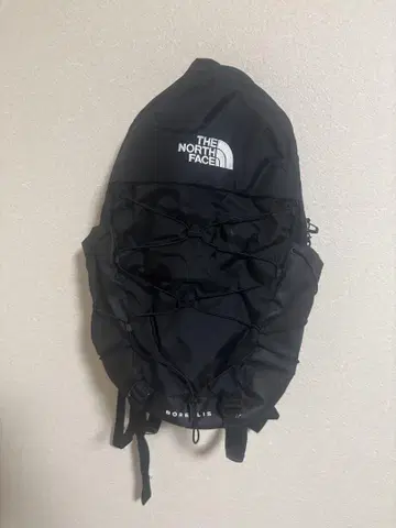 THE NORTH FACE 블랙 백팩