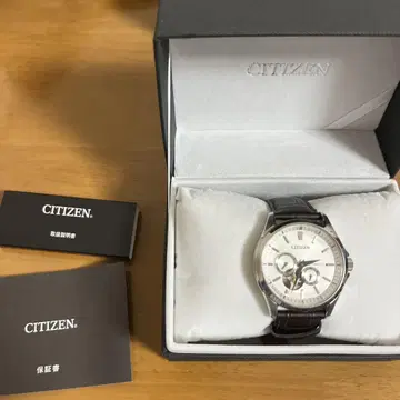 NP1010-01A CITIZEN 손목시계 seiko orient