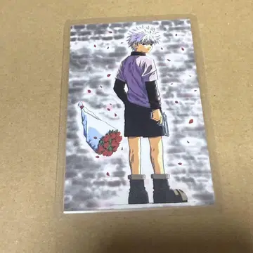 [ 익명 배송 ] 헌터헌터 HUNTER x HUNTER 키루아 라미카