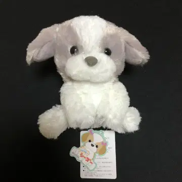 푹신 시츄 포코 ST 사이즈 봉제 인형 택 포함