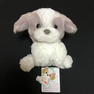 푹신 시츄 포코 ST 사이즈 봉제 인형 택 포함