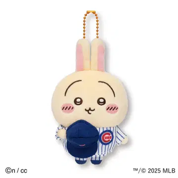 치이카와 MLB 컵스 마스코트 토끼