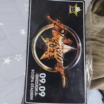 Dynamite 2023 티켓 시즈오카 에코파 스타디움