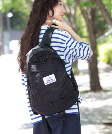 BEAMS 별주 GREGORY NICE DAY NEW 백팩