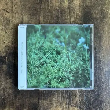 Chouchou Merged Syrups. Clepsydra CD 단종
