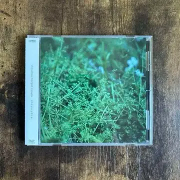 Chouchou Merged Syrups. Clepsydra CD 단종
