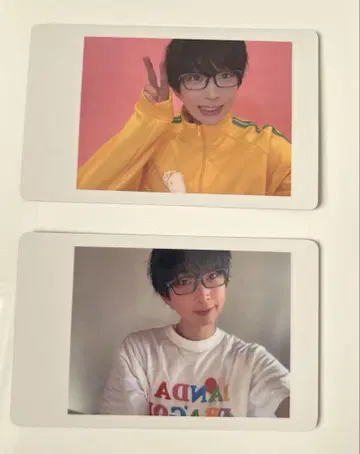 팬더드래곤 하피카 나루키