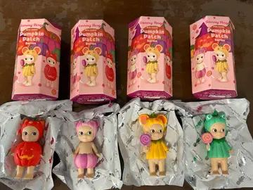 소니엔젤 펌킨 패치 pumpkin patch 4종 세트