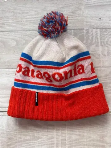 레어 컬러 Patagonia 파타고니아 파우더 타운 비니 니트 모자