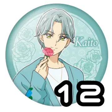 히비키 카이토 flower fashion festa 캔뱃지 12개