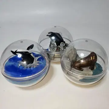 카프리움 컬렉션 해양 생물 범고래 바다코끼리 쥐가오리