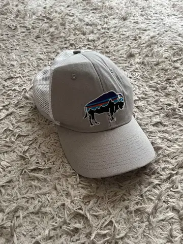 Patagonia 캡 베이스볼 캡 메쉬 캡