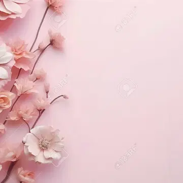 CABAn 그레이 XS 크루넥 가디건
