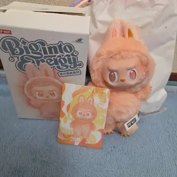 POP MART Biginto Spreggy 라브브 봉제 인형