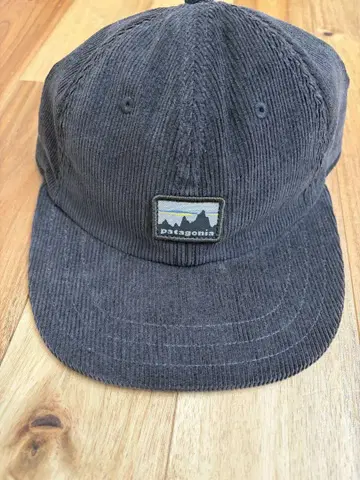 Patagonia 그레이 코듀로이 캡