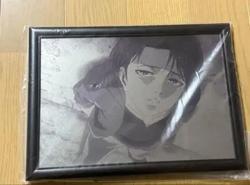 FANITEM 애니메이션 [진격의 거인] 메탈 아트 리바이 병장