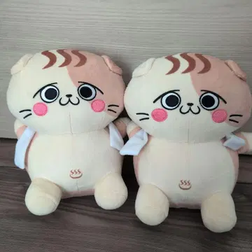 코네타마 2마리