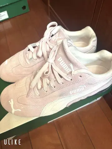 PUMA 스피드캣 핑크 푸마 SPEEDCATOG 23.5cm