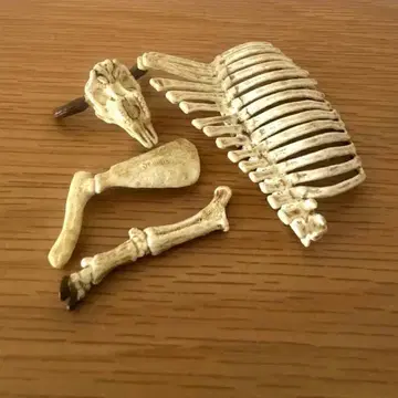 Schleich 슐라이히 동물 골격 피규어 42249 단종 레어