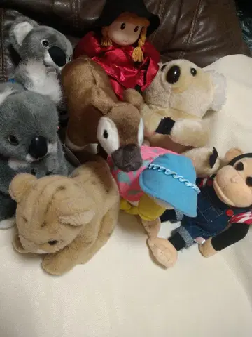 코알라, 원숭이, 표범, 오카피 외 다양한 봉제 인형 세트 코569