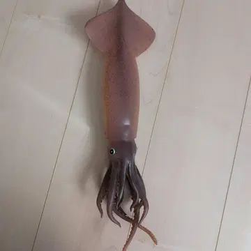 리얼한 오징어 피규어