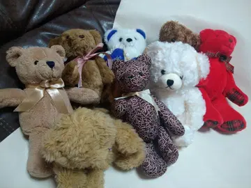 곰 여러 가지 봉제 인형 세트 코571